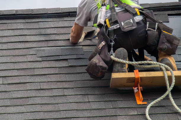 Best Storm Damage Roof Repair  in Williamsport, MD