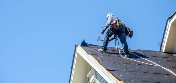 Best Roof Replacement Cost  in Williamsport, MD